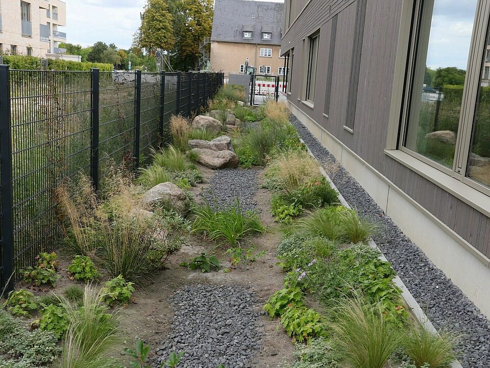 Garten Ein bepflanzter Garten zwischen einer modernen Hausfassade und einem Zaun. Im Hintergrund sind moderne Wohnhäuser zu sehen.